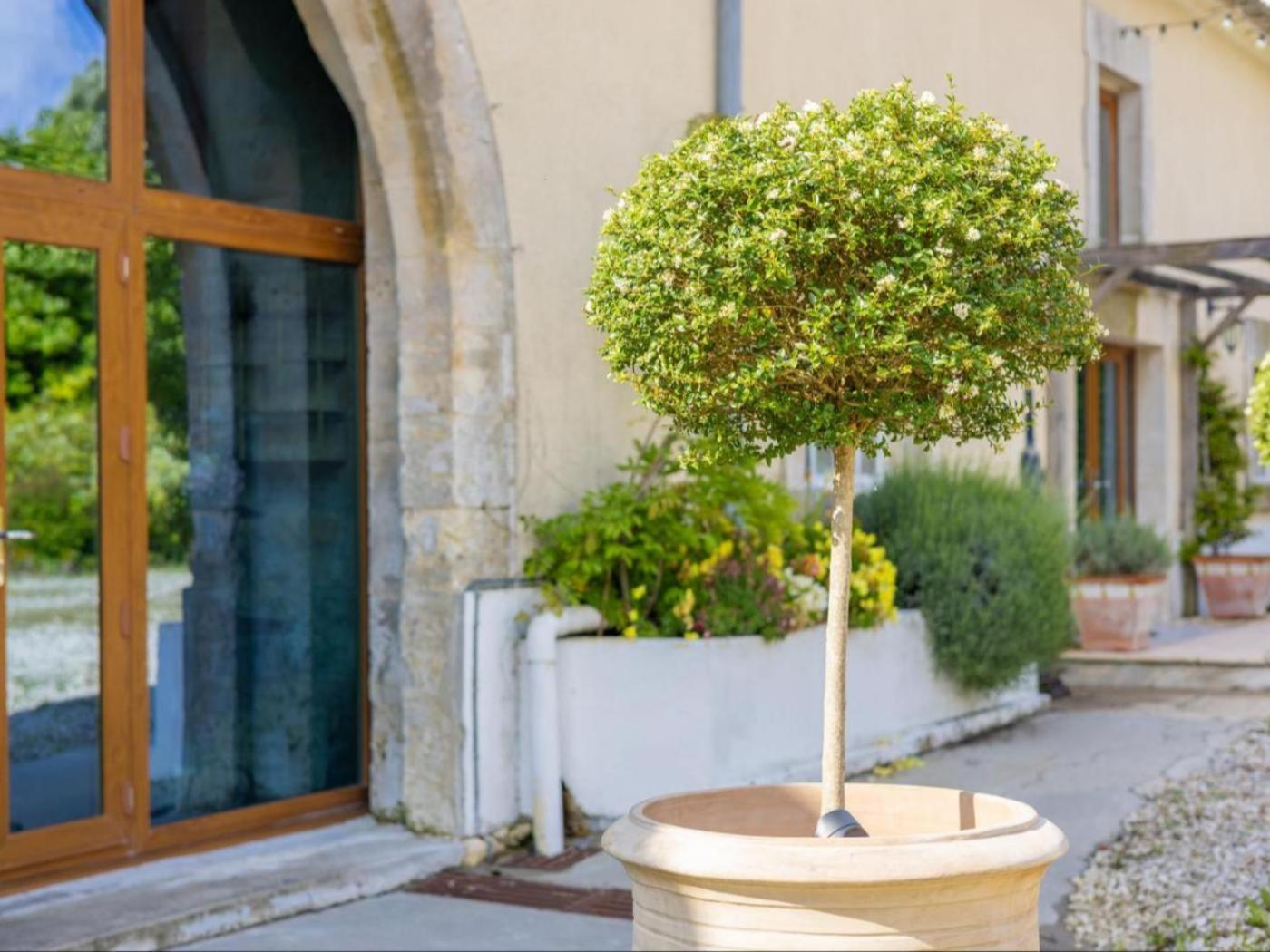 Paradis Des Vignes Birac  Room photo