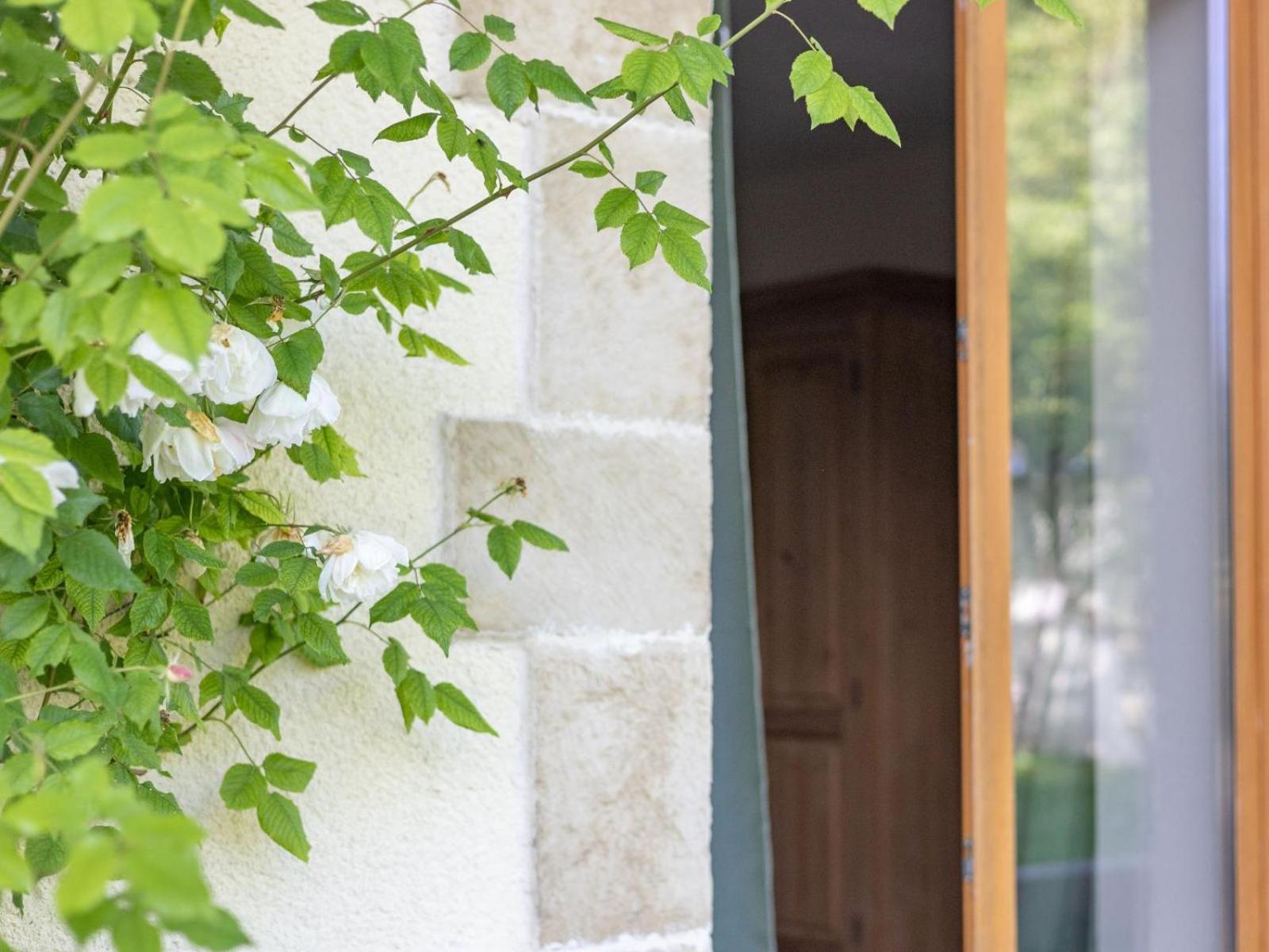 Paradis Des Vignes Birac  Exterior photo